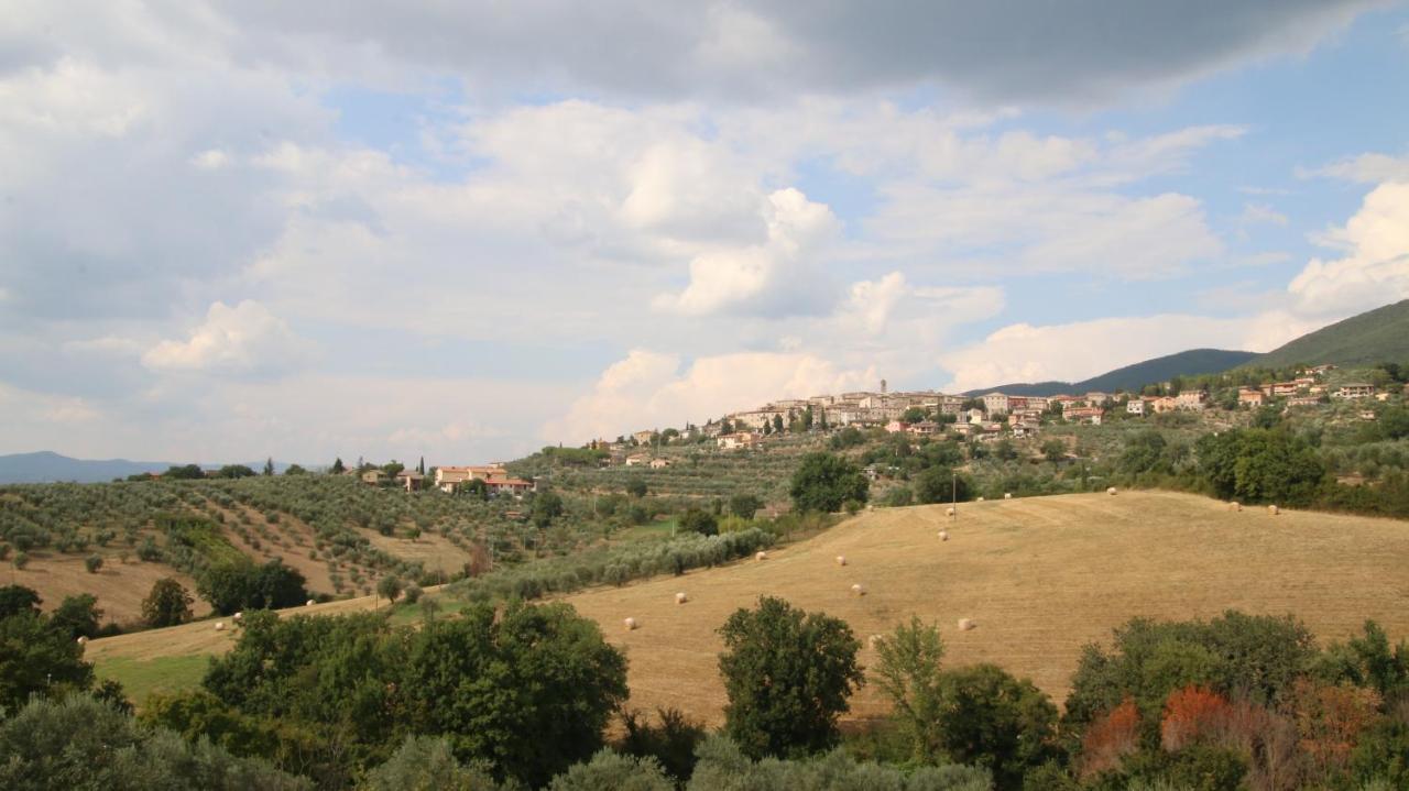 Al Ginepro Bed & Breakfast Montecchio  Exterior photo